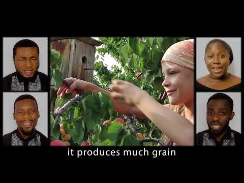 John 12: 24 | Dying Like A Seed | Classical Acapella Scripture Song