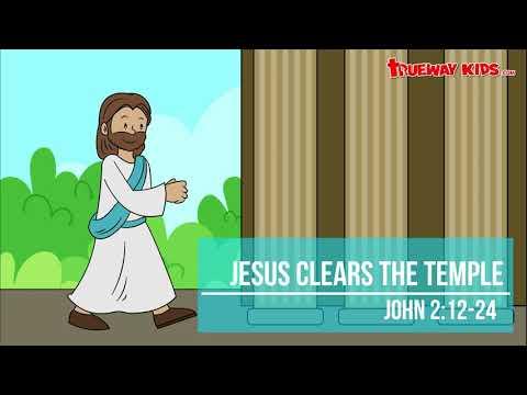 Jesus clears the temple (John 2:12-24) Bible story for kids