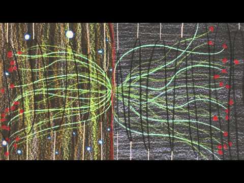 Mark 8:31-38 Commentary by Dr. Tom Boomershine