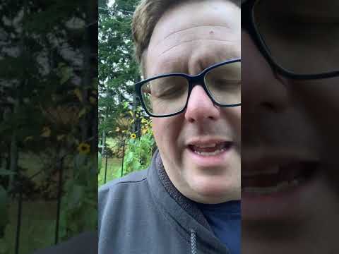 Daily Prayer & Devotion - Jeremiah 40:10 - October 20th 2022