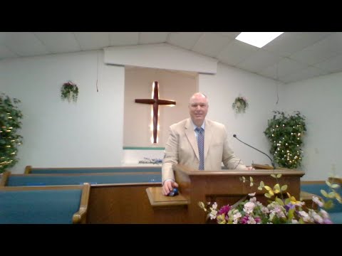 6/28/20 Sun PM - Proverbs 30:24-28 Lessons from the Little