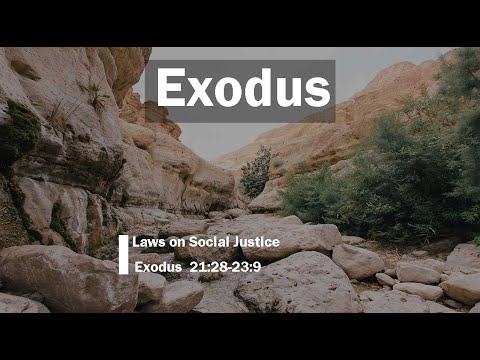 Laws on Social Justice (Exodus 21:28-23:9)
