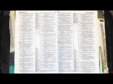 Holy Bible - Proverbs 23 : 1 - 35