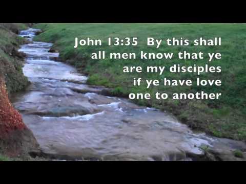 John 13:35 KJV Children's Bible Drill Blue