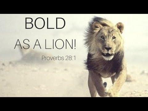 "Faith As Bold As Lions" Proverbs 28:1 6-26-22am