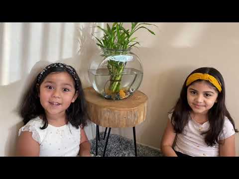 Deborah Judges Israel (Judges 4:1-7). The Bravery of Deborah and Jael (Judges 4:8-24). Day 77-78