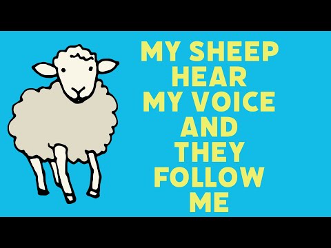 John 10:27 MY SHEEP HEAR MY VOICE, and THEY FOLLOW ME - false and correct contexts