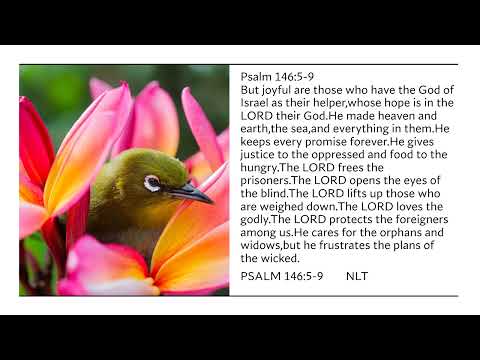 The LORD Will Reign Forever Psalm 146:10.