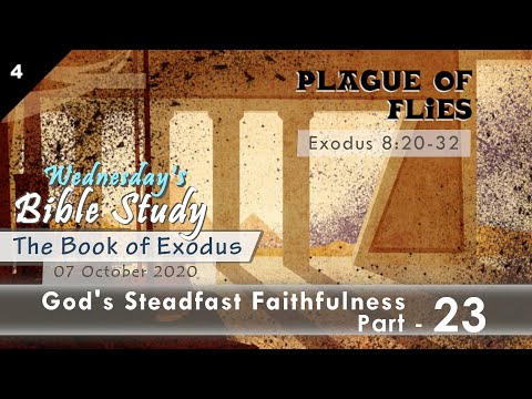 The Book of Exodus 8:20-32 _ Wednesday Bible Study _ Part 23