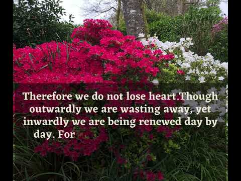 Pure Bible Verse -2 Corinthians 4:16-17