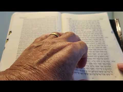 Daily Bible Reading - Exodus 15:1 - 16:28