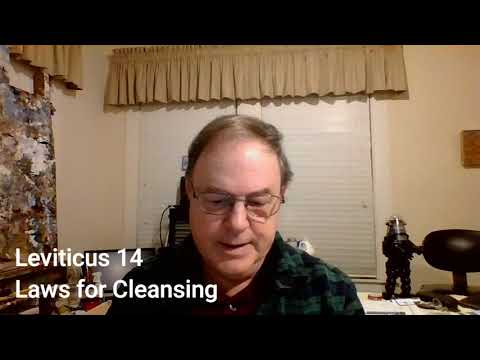 44 The Bible in a Year Leviticus 14 and Matthew 6:22-34