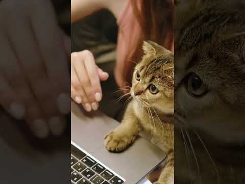 Should you trust Christian YouTubers?  |  412Teens.org