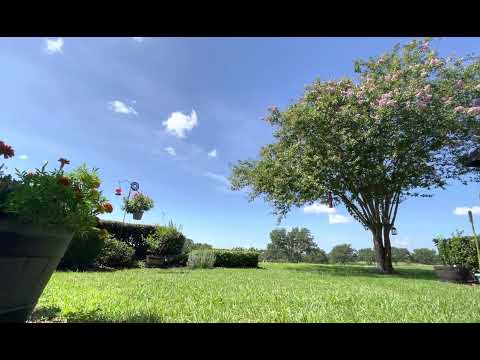 Day 195~ July 14~ 1 Chronicles 16:37-18:17, Romans 2:1-24, Psalm 10:16-18, Proverbs 19:8-9