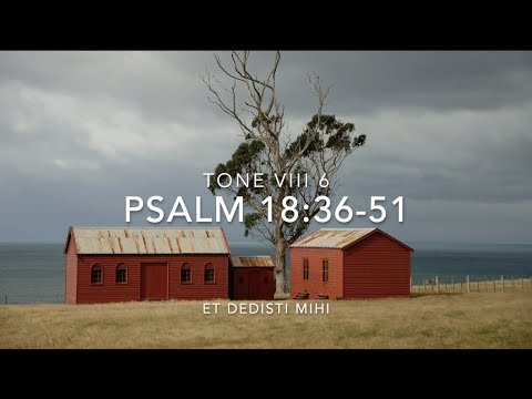 Psalm 18:36-51 – Et dedisti mihi