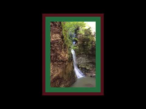 Coffee Break (5 Minutes with God) Psalm 51:4