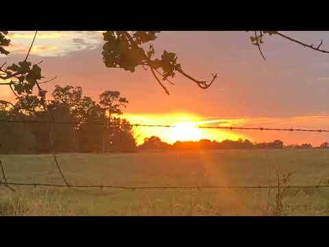 Coffee Break   (5 Minutes with God) Psalm 124:6-8