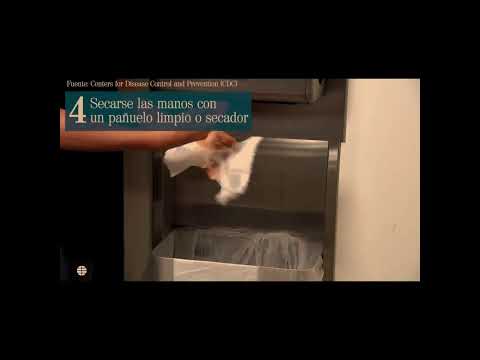 Vidas Radiantes  Job 11:4-20