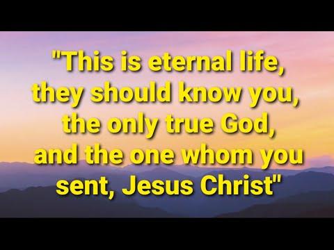Today's Holy Gospel: Homily and Reflection: John 17:1-11 (18/05/2021) Fr Andrew Lee????????????