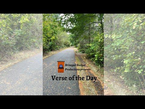 Wisdom Wednesday: Proverbs 18:4 - Out of the Heart