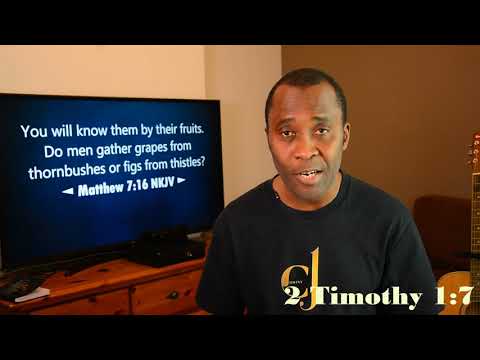 ◄ Matthew 7:16 ► You will know them by their fruits. Do men gather grapes from thornbushes...