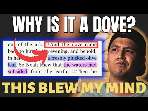 What’s Really Happening When Noah Sends Out The Dove | Bible Study in Genesis 8:7-11