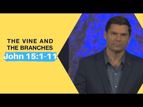 The Vine and the Branches (John 15:1-11) | Andrew Farley