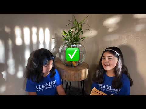 The Last Days of Joshua (Joshua 23:1-24;33). Israel Forgets God (Judges1:1-3:7).