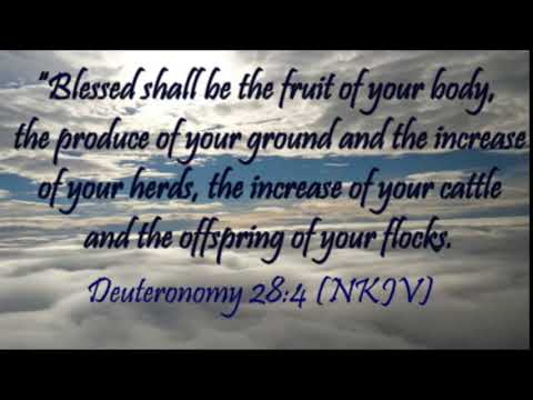 Deuteronomy 28:4 (NKJV)