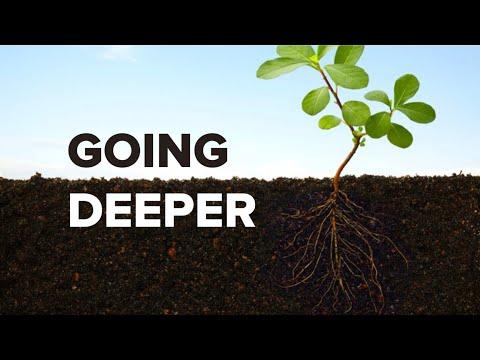"Deeper In Our Identity" (1 Peter 2:9-12) - Alvin Thomas - Redemption Bible Church