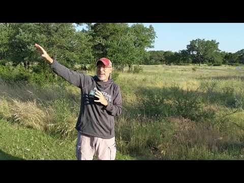 Daily Word - Psalm 32:10-11