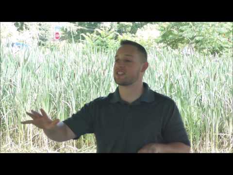 Little By Little - Deuteronomy 7:12-26