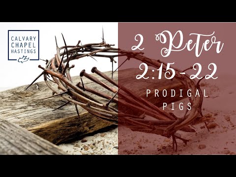 2 Peter 2:15-22 | Prodigal Pigs | Doug Keen