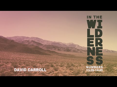 Numbers 13:26-14:45 | In The Wilderness