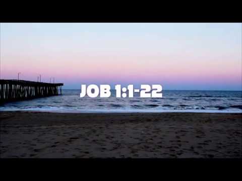 Job 1: 1-22 (reading by Darlene Reese)