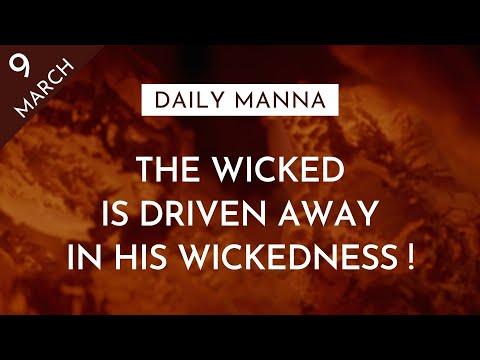The Wicked Is Driven Away In His Wickedness | Proverbs 14:32 | Daily Manna