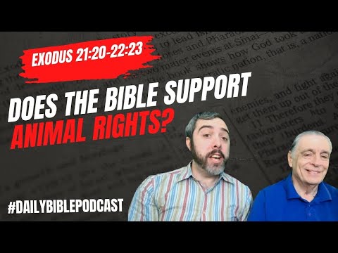 Does the Bible Support Animal Rights? - Exodus 21:20-22:23