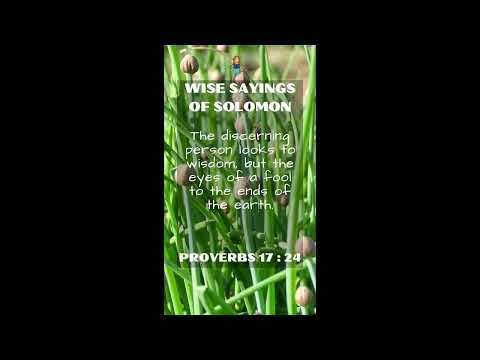 Proverbs 17:24 | NRSV Bible - Wise Sayings of Solomon