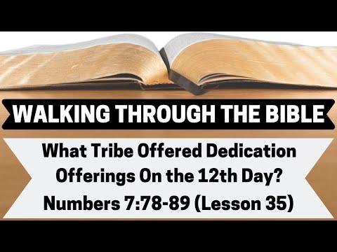 What Tribe Made Dedication Offerings On The 12th Day? [Numbers 7:78-89][Lesson 35][WTTB]