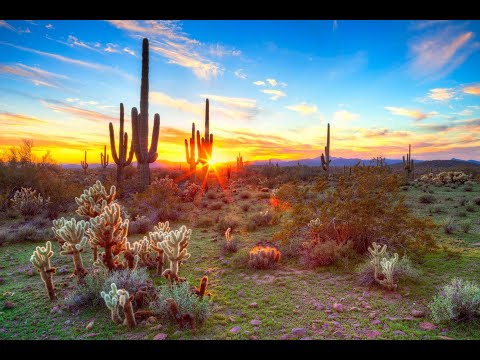 Scripture Verse By Verse (6) Deuteronomy 1:22-40