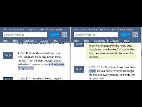 Zechariah 13:6  Are wounds in hands received in house of friends about Jesus?