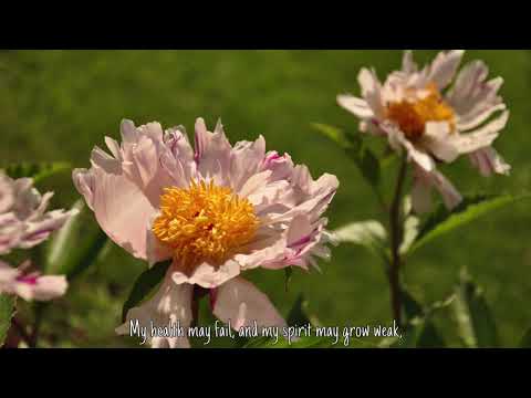 Moment of Peace: Psalm 73:24-26, NLT