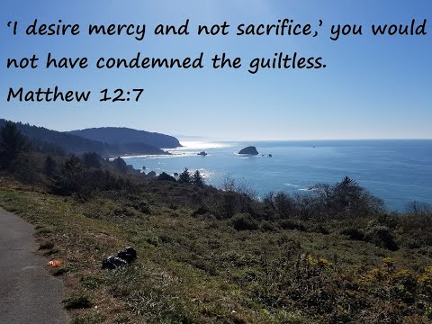 Matthew 12:7 ‘I desire mercy and not sacrifice,’ you would not have condemned the guiltless.