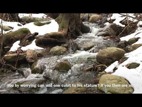 The Barn... Luke 12:13-26