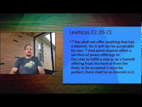 Leviticus 22:20-21