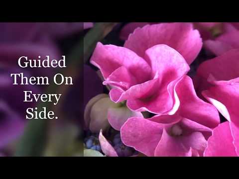 Guided Them On Every Side. 2 Chronicles 32:22-23 Bible Study 1