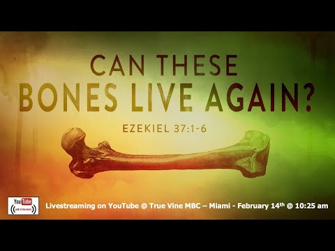 Can These Bones Live Again? - Ezekiel 37:1-6