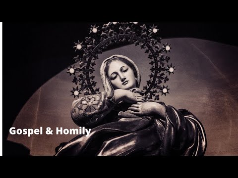 Homily by Fr. Nicholas Akindele JCL. Numbers 20:1-13; Matthew 16: 13-23