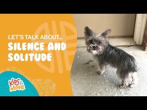 Let's Talk About Silence and Solitude