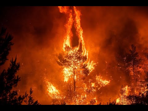 Isaiah 9:8-10:19 - The Fury of the Lord